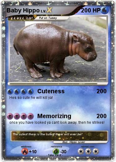 Pokemon Baby Hippo