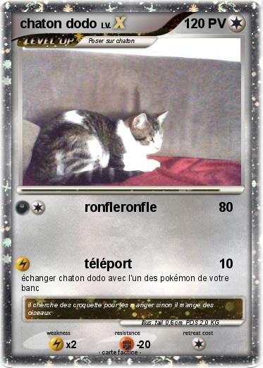 Pokemon chaton dodo