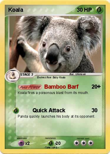 Pokemon Koala