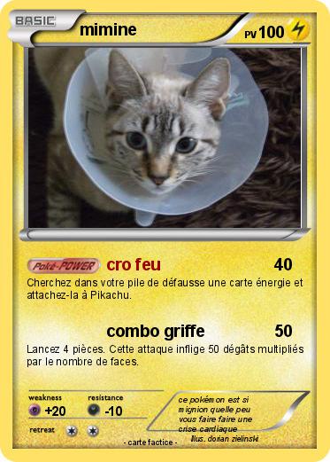 Pokemon mimine