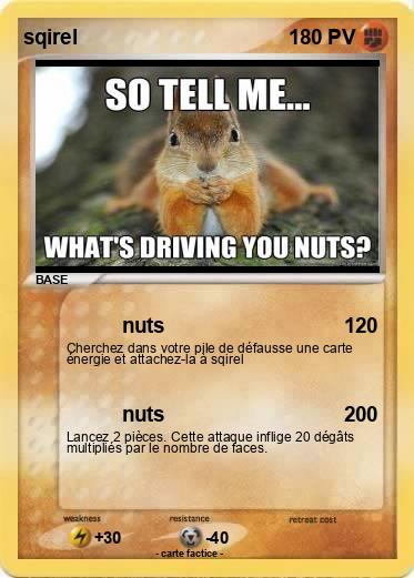 Pokemon sqirel