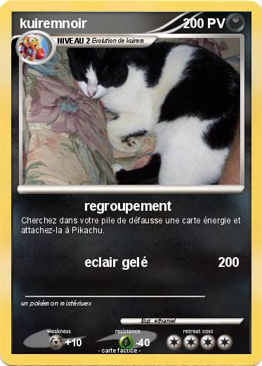 Pokemon kuiremnoir