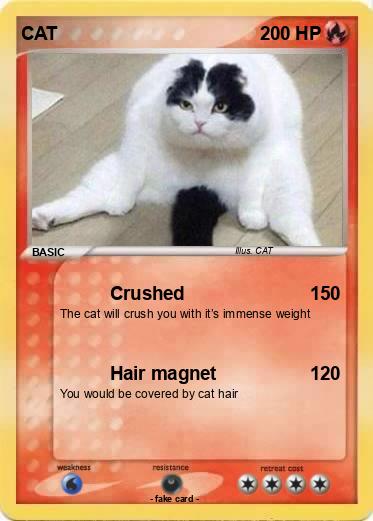 Pokemon CAT