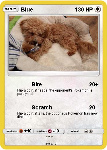 Pokemon Blue