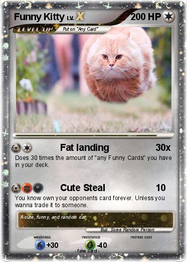 Pokemon Funny Kitty