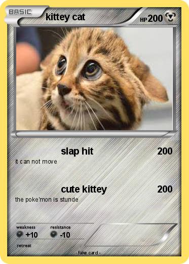 Pokemon kittey cat