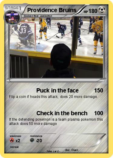 Pokemon Providence Bruins