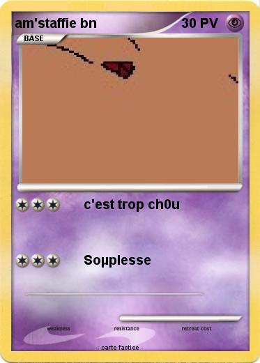 Pokemon am'staffie bn