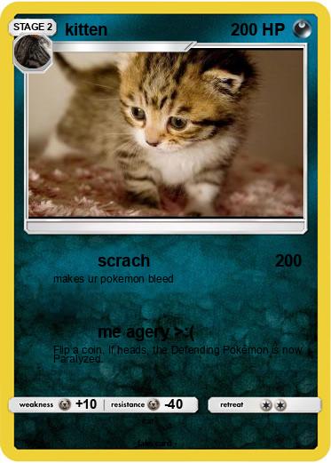 Pokemon kitten