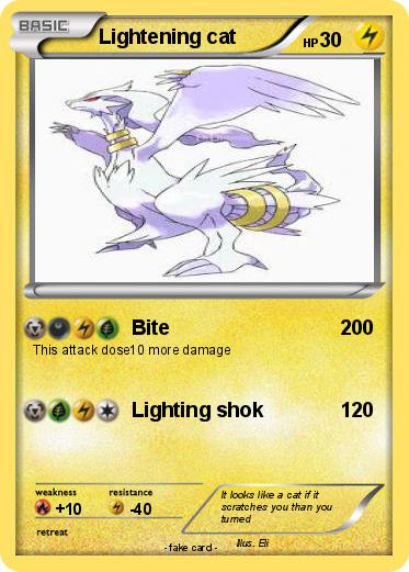 Pokemon Lightening cat