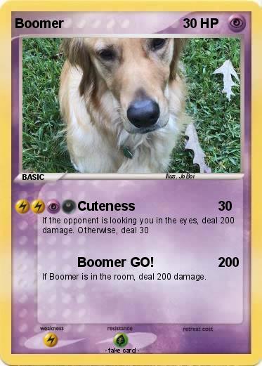 Pokemon Boomer