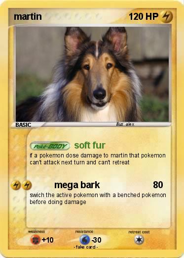 Pokemon martin