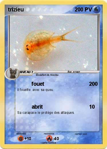 Pokemon trizieu
