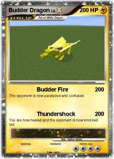Pokemon Budder Dragon