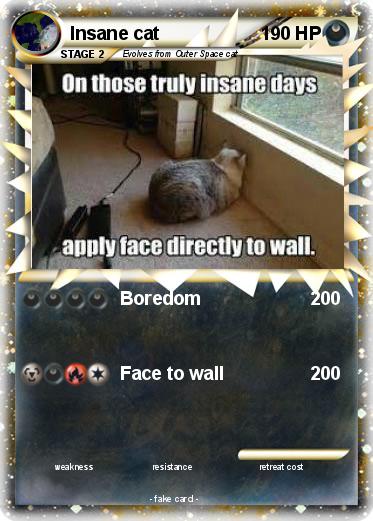 Pokemon Insane cat