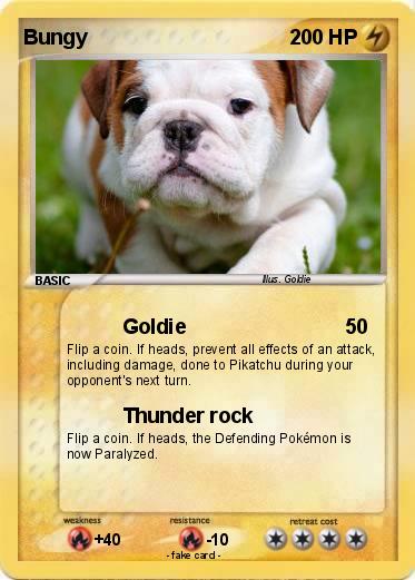Pokemon Bungy