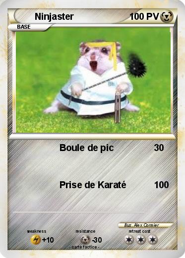Pokemon Ninjaster