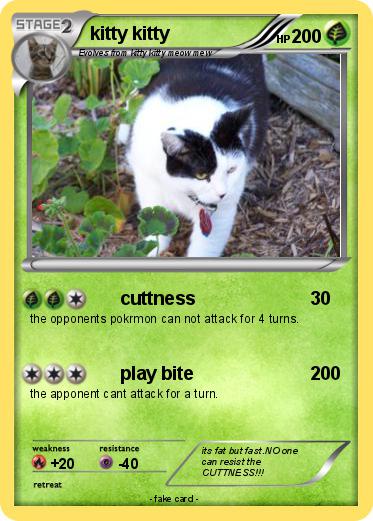 Pokemon kitty kitty