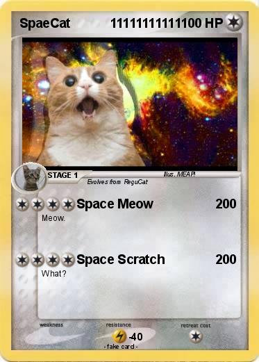 Pokemon SpaeCat           11111111111