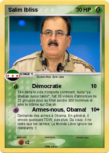 Pokemon Salim Ibliss