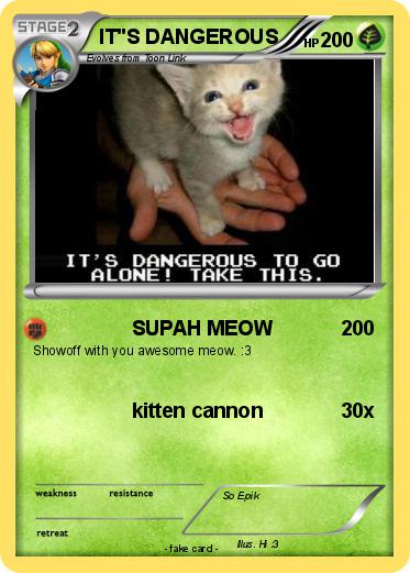 Pokemon IT"S DANGEROUS