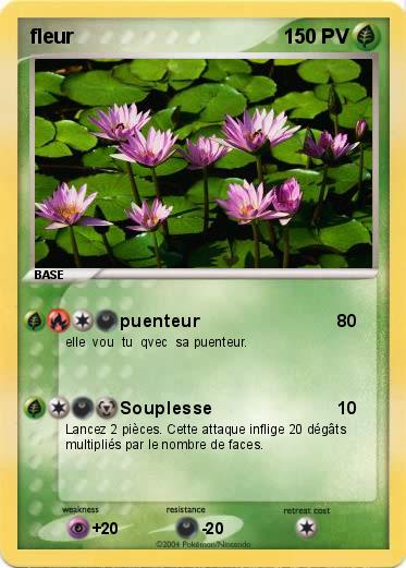 Pokemon fleur