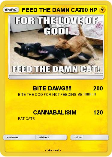 Pokemon FEED THE DAMN CAT