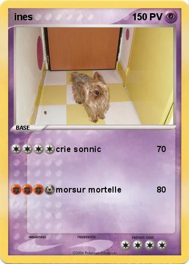 Pokemon ines
