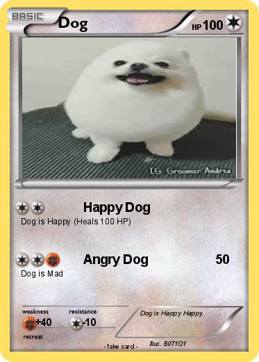 Pokemon Dog