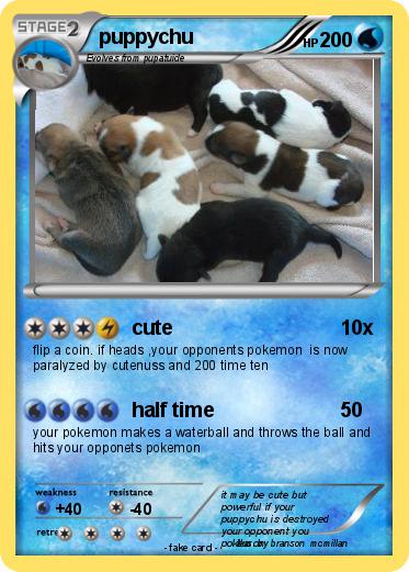 Pokemon puppychu