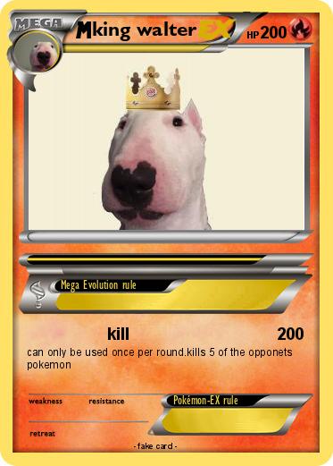 Pokemon king walter
