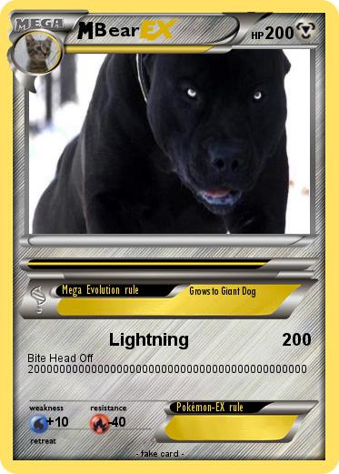 Pokemon Bear