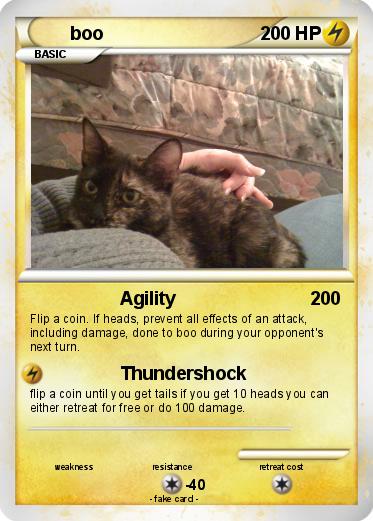Pokemon boo