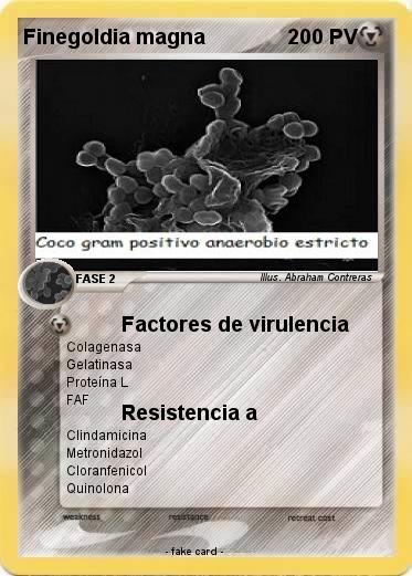 Pokemon Finegoldia magna