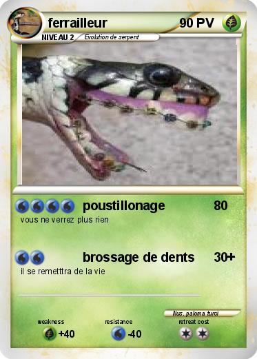 Pokemon ferrailleur