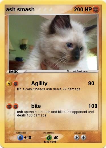 Pokemon ash smash