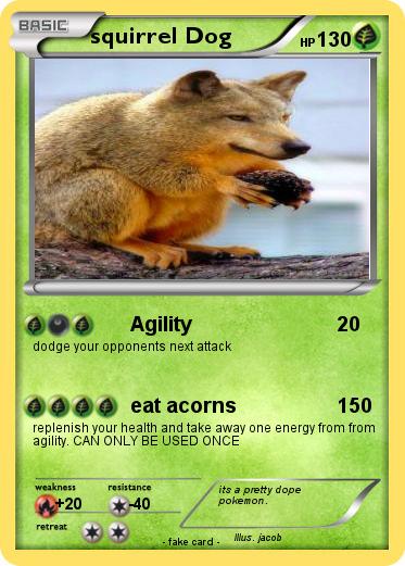 Pokemon squirrel Dog