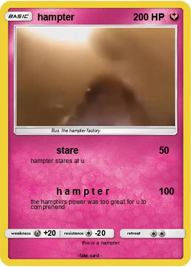 Pokemon hampter