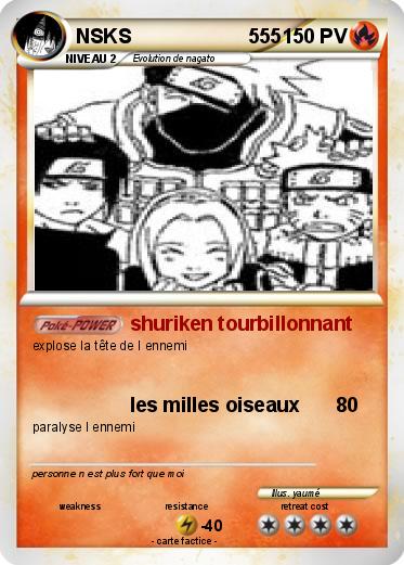 Pokemon NSKS                     555