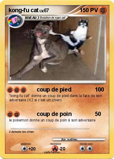 Pokemon kong-fu cat