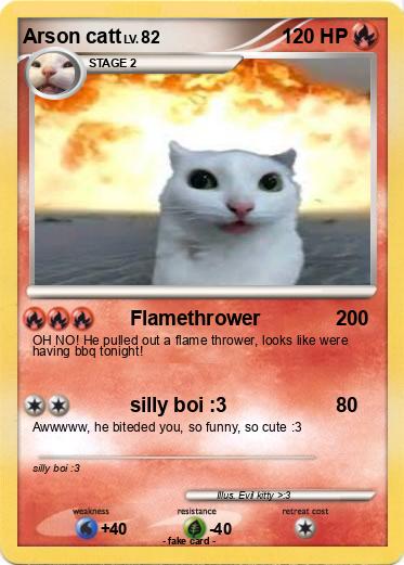 Pokemon Arson catt