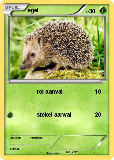 Pokemon egel
