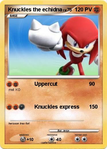 Pokemon Knuckles the echidna