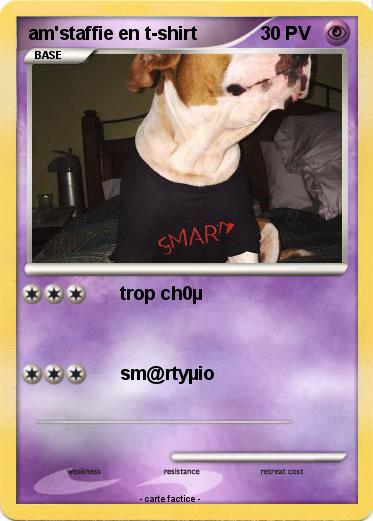 Pokemon am'staffie en t-shirt