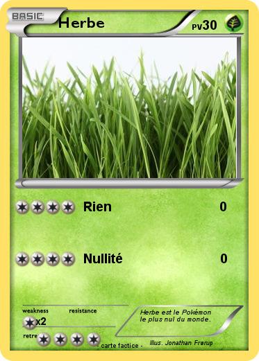 Pokemon Herbe