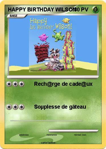 Pokemon HAPPY BIRTHDAY WILSON