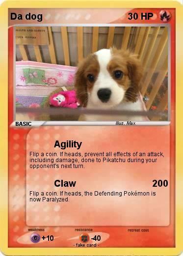 Pokemon Da dog