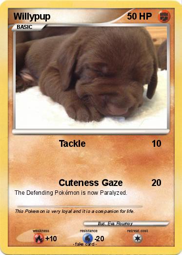 Pokemon Willypup