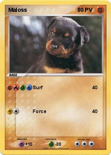 Pokemon Maloss