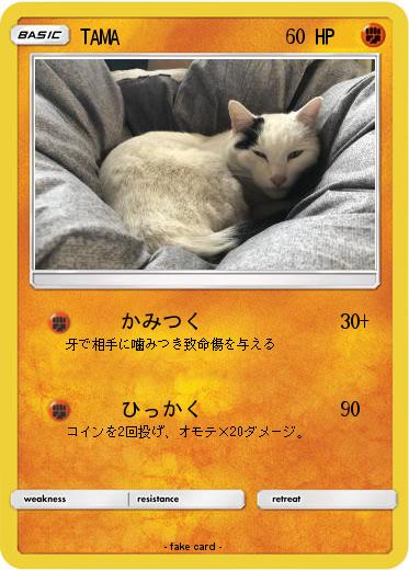 Pokemon TAMA